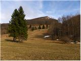 Podkraj - Javornik above Črni vrh